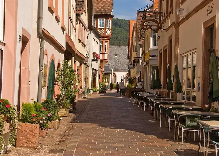Neckarblick,natur, Altstadt Apartmán Hirschhorn