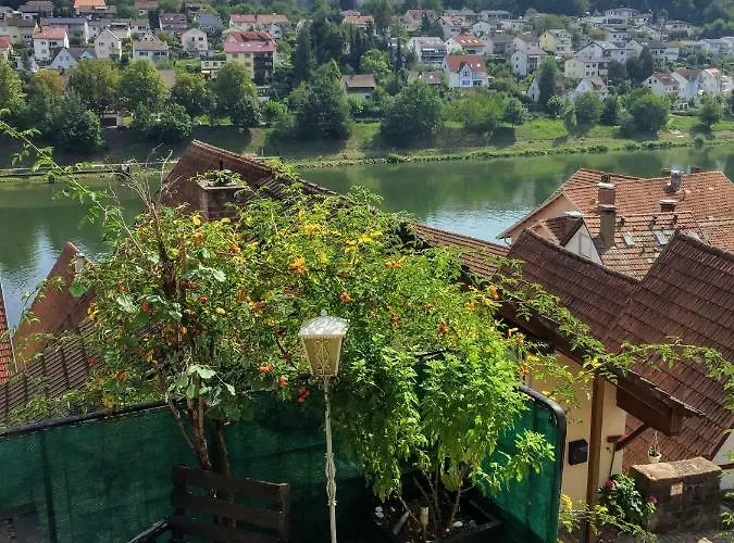 Neckarblick,natur, Altstadt Hirschhorn