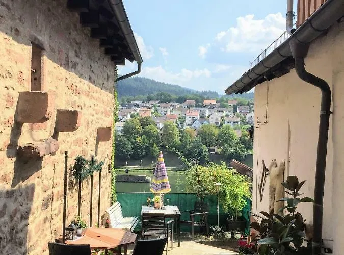 Neckarblick,natur, Altstadt *