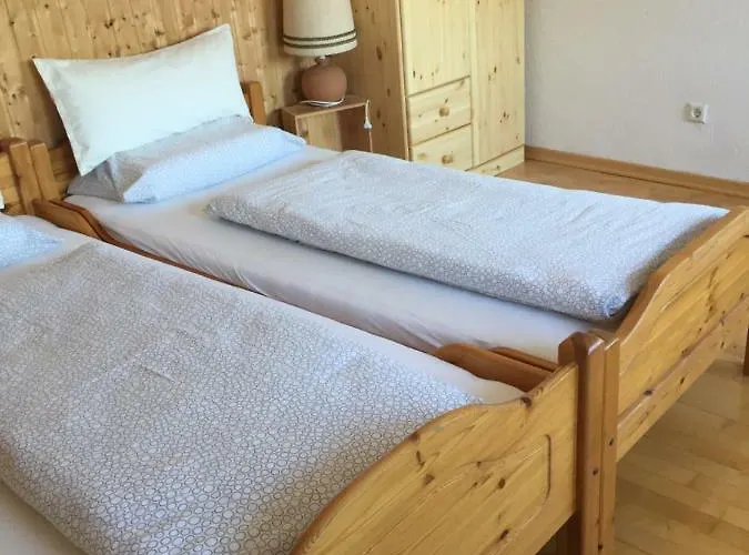 Neckarblick,natur, Altstadt *