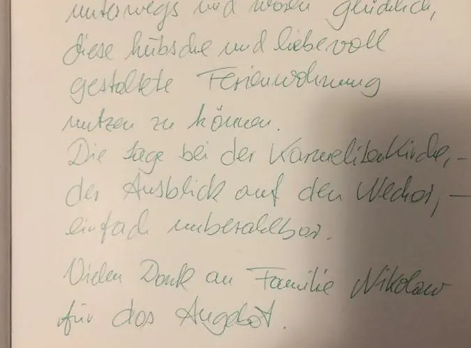 Neckarblick,natur, Altstadt * Hirschhorn