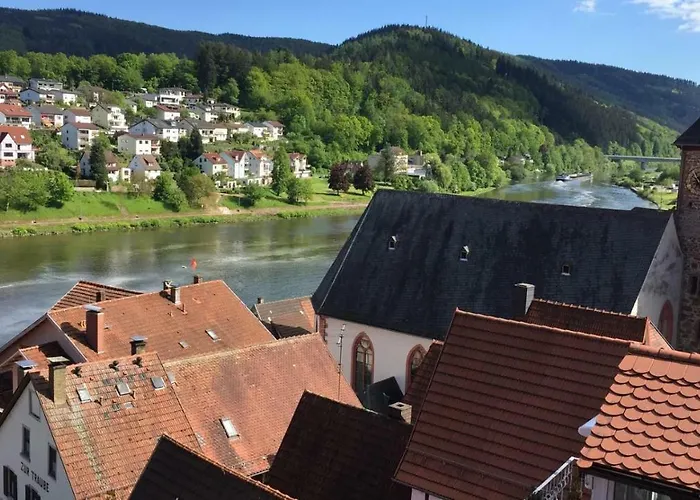 Neckarblick,natur, Altstadt Apartmán