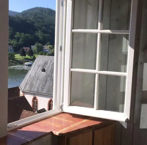 Neckarblick,natur, Altstadt * Hirschhorn