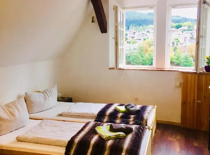 Neckarblick,natur, Altstadt *